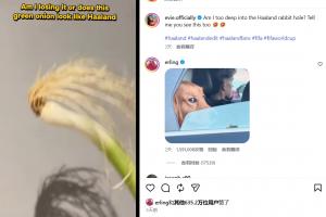 重磅WNBA达拉斯飞翼VS纽约自由人直播_重磅WNBA达拉斯飞翼VS纽约自由人直播在线观看_免费看直播
