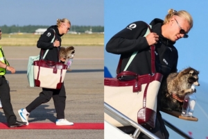 今日U17女篮世界杯中国U17女篮vs德国U17女篮赛事前瞻_今日U17女篮世界杯中国U17女篮vs德国U17女篮赛事前瞻在线观看_免费看直播